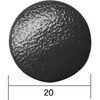 41025031