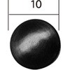 41025047