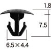 41025205