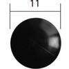 41025205