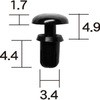 41025406