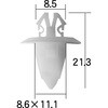 BC5726-2 jtbN VOSTONE({Xg) 41025826