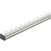 カセット式ピッキングラック用ホイールコンベヤΦ36 P50×100 TRUSCO