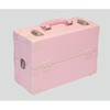 尊体用メイク剤 アズワン