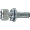 WAソケット Sタイプ (SCM435/ユニクロ)(パック品) 日産ネジ