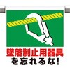 41499904