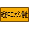 41505048