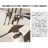 41548635,41548651,41548660,41548669,41548678,41548687