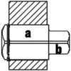 41624906
