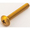 3×20 (+)トラス小ねじ (黄銅)(パック品) 大阪魂 41684447