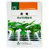 【タネ】昇竜 久留米原種育成会