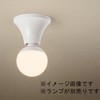 LED電球シーリングライト Panasonic(パナソニック)
