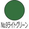 42050558