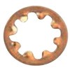 42128493,42128502