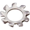 42204364