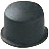 42929442,42929485,42929512,42929521,42929537,42929546,42929555