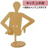 段ボールマネキン(キッズ：上半身) 板野紙工