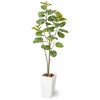 人工植物 ウンベラータ タカショー