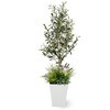 人工植物 オリーブ   寄植付 1.2m タカショー