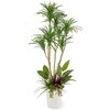 人工植物 ドラセナ コンシンネ  寄植付 1.6m タカショー