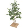 人工植物 ミニフィカス   板付 80cm タカショー