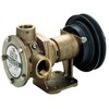 海水用単体ポンプ ラバレックスポンプ MFC-2524S-1(24V) 部品 工進