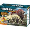 化石発掘キット トリケラトプス アーテック(学校教材・教育玩具)