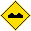 43295317