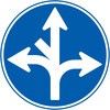 43302308