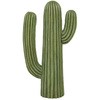 K655-657C CACTUS �J�N�^�X �_���g�� 43392555
