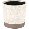 COLOR GLAZED POT カラー グレーズド ポット (4号鉢目安) ダルトン