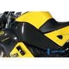 RAL.006.1125R.K カーボンパーツ フレームカバー 左側 1125 R ILMBERGER (イルムバーガーカーボンパーツ) 43985867