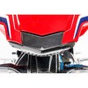 SIO.005.CBR17.K カーボンパーツ アッパーリアライトカバー カーボン - Honda CBR 1000 RR &apos；17 ILMBERGER (イルムバーガーカーボンパーツ) 43988694