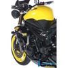 TSL.011.TRSPT.K カーボンパーツ タンクサイドパネル (左) カーボン - Triumph Speed Triple (2011-now) ILMBERGER (イルムバーガーカーボンパーツ) 43990277