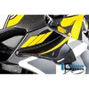 VFL.065.DV4RG.K Ilmberger Carbon / �C�����o�[�K�[ Winglet left gloss Panigale V4 R ILMBERGER (�C�����o�[�K�[�J�[�{���p�[�c) 43993540