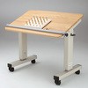 昇降式リハビリテーブル プラス(家具)