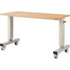 昇降式リハビリテーブル プラス(家具)