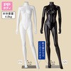 5494-100 PP wlA}lL XgAEGLXvX 44381586