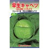 キャベツ 種