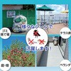 36516 防鳥用キラキラテープ(50m) アーテック[学校教材・教育玩具] 44642720