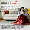 YMK-HR42F zJdCѕz YAMAZEN(RP) 44644829