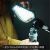 61016105 X^CbVLEDOrt&|[^udZbg dR[h 邳2000Lm STATUSUNI(Xe[^Xj) 44673706