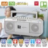 RCS-551Z XeIWJZ ^EdቹEFMΉ I[d@ 44673986