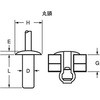 ASSE-810 �A���~ - �S�u���C���h���x�b�gASSE �V�[���h�^�C�v(���n)(����) �F�����쏊 44685602