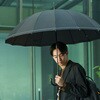 SMV-41491 x[VbNWv16 Biz 16{P 65cm mabu(}u) 44806206