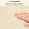 44806879,44806854,44806870,44806845