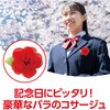 5744 コサージュバッジ レッド アーテック[学校教材・教育玩具] 44825806