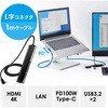 ドッキングステーション サンワダイレクト