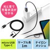 USB TypeCケーブル サンワダイレクト