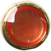 44950466